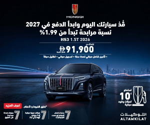 Hongqi Offer